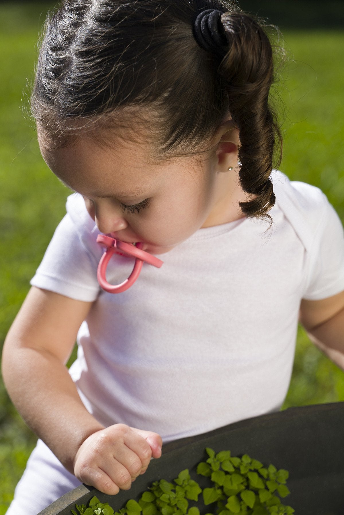 HEVEA ORTHODONTIC PACIFIER 3 - 36 MONTHS (CORAL)