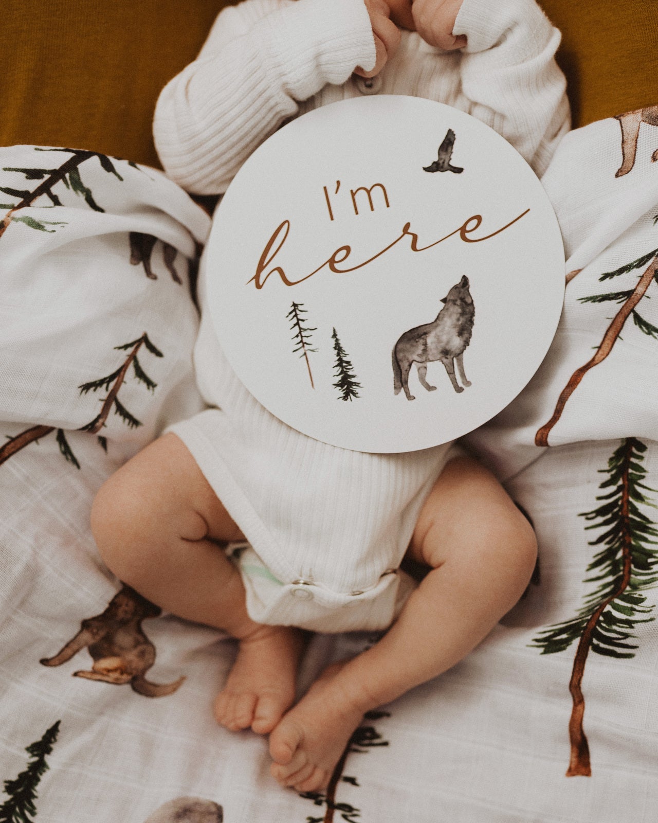 SNUGGLE HUNNY KIDS - REVERSIBLE MILESTONE CARDS (ALPHA & BRONZE)