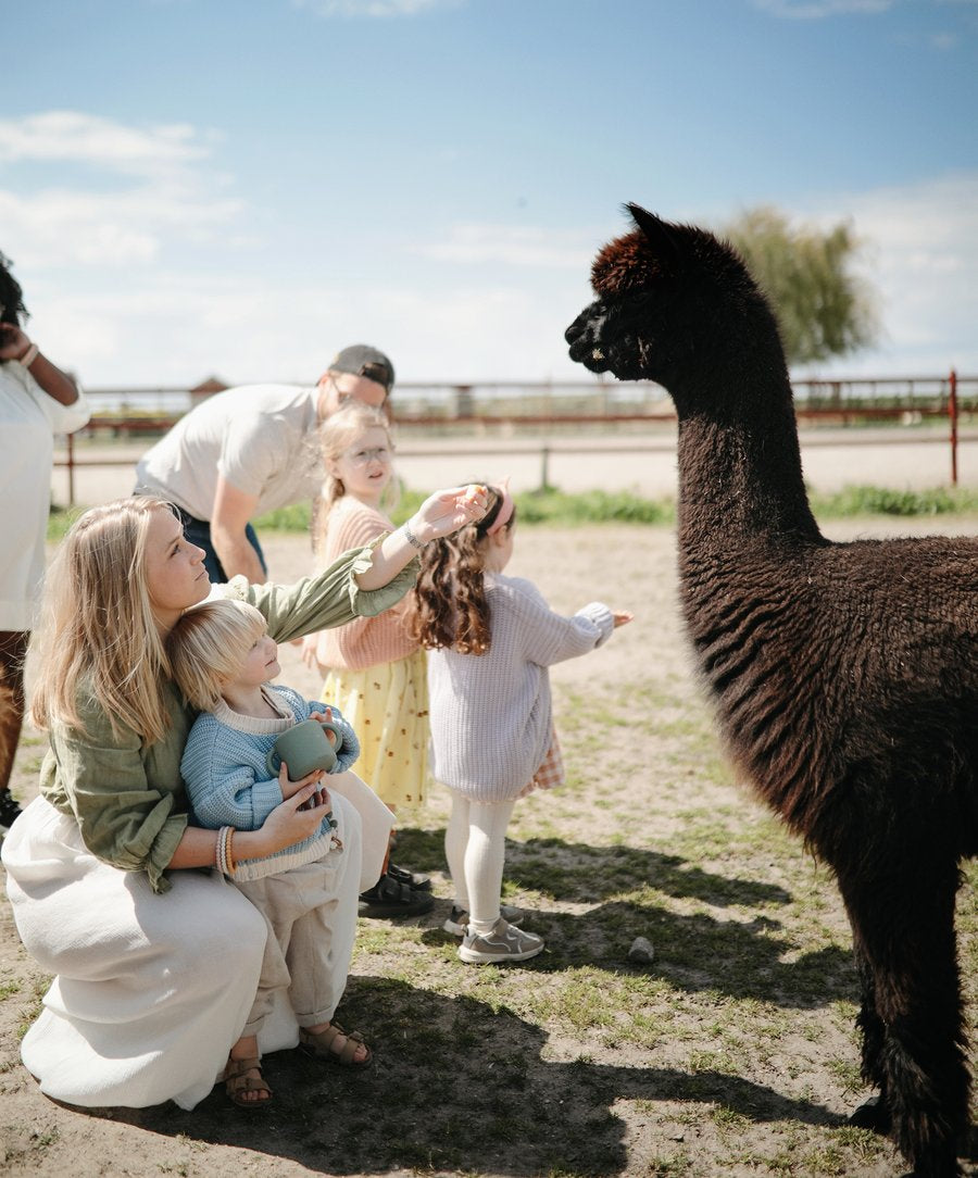 Mushie - Snack Cup (Cambridge Blue)